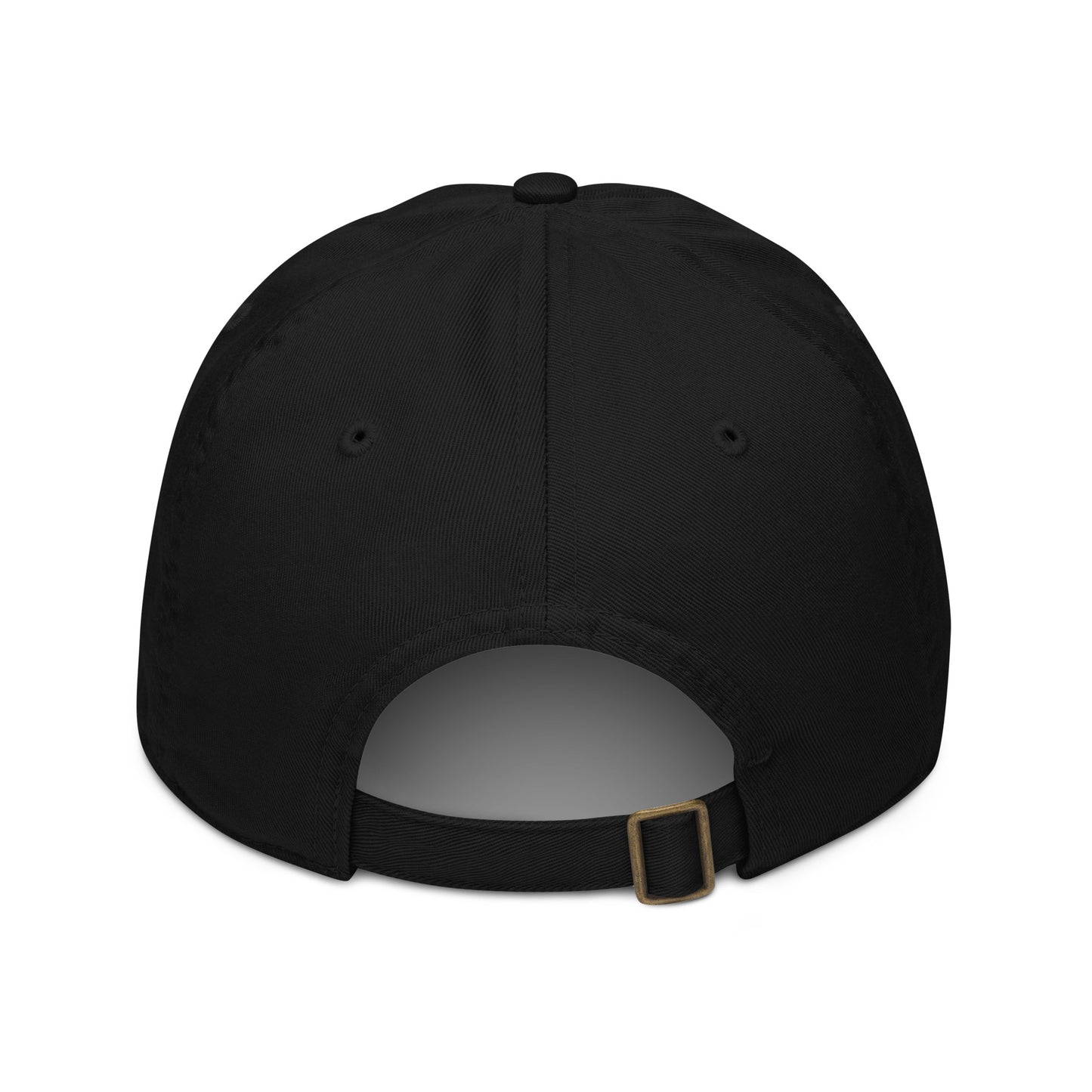 TWA Logo organic baseball hat